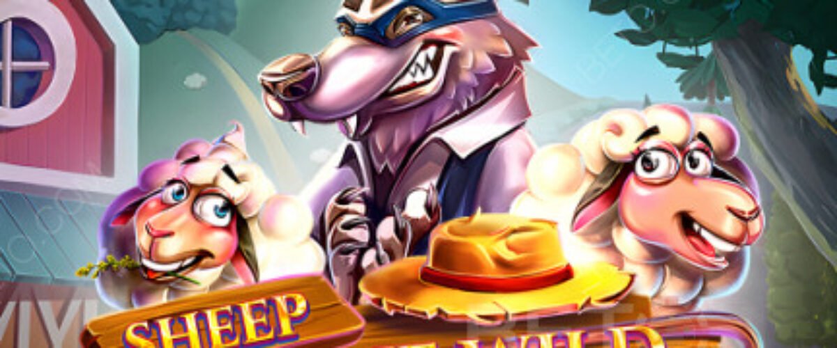 เกม Sheep Gone Wild DNT ค่าย Red Tiger